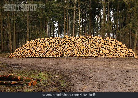 
                Holzstapel, Rohstoff                   