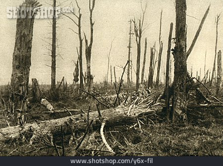 
                Wald, Erster Weltkrieg, Chaulnes                   