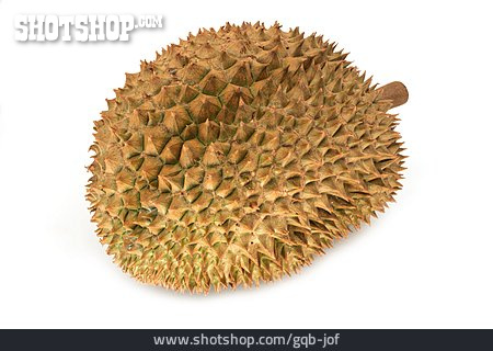 
                Durian, Zibetfrucht                   