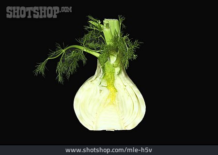 
                Fenchel                   