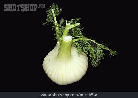 
                Fenchel                   