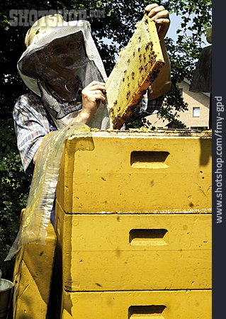 
                Bienenstock, Honigbiene, Stechschutzhaube                   
