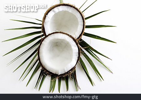 
                Kokosnuss, Kokos, Kokosmark                   