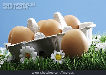 
                Hühnerei, Eier, Bioeier, ökologische Landwirtschaft, Freilandei, Frische Eier                   