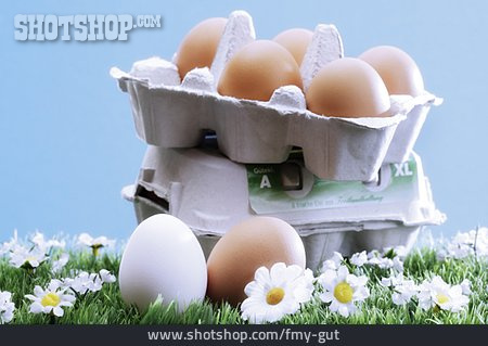 
                Eierkarton, Eier, Bioeier, Freilandei                   