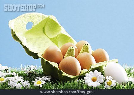 
                Hühnerei, Eierkarton, Eier                   
