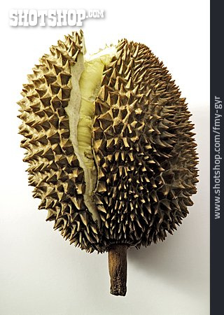 
                Durian, Durianfrucht                   