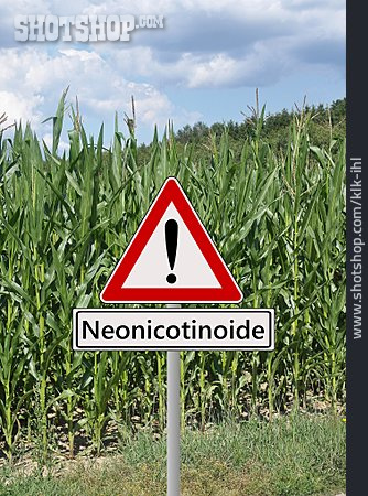 
                Maisfeld, Insektizid, Neonicotinoide                   