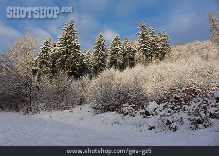 
                Winter, Thuringian Forest                   