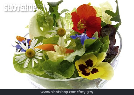 
                Salat, Salatschüssel, Blattsalat                   