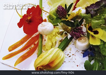 
                Vorspeise, Salatteller, Gemüseteller                   