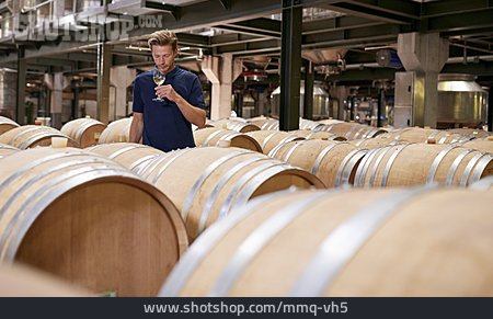 
                Weinherstellung, Qualität, Weinprobe, Weinkellerei                   