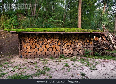 
                Holz, Holzstapel, Feuerholz                   