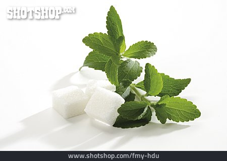 
                Zucker, Stevia, Aztekisches Süßkraut, Süßkraut                   