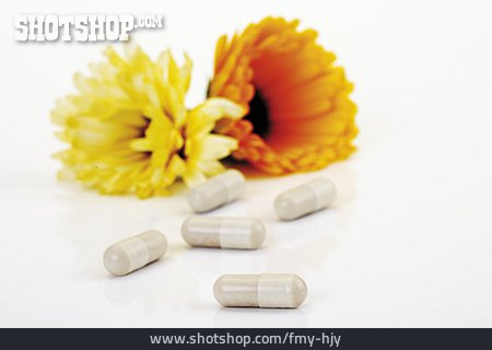 
                Heilpflanze, Homöopathie, Ringelblume                   