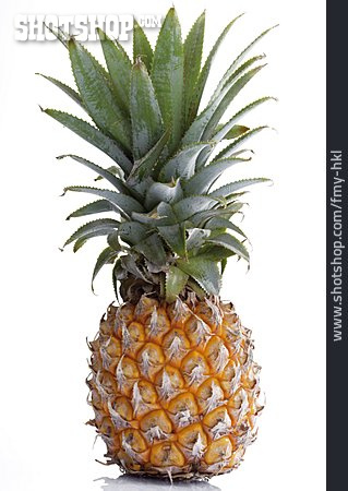 
                Ananas                   