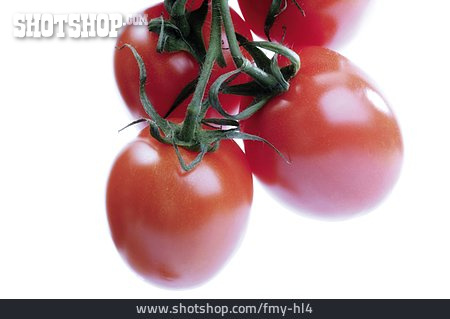 
                Tomaten, Tomatenrispe, Eiertomate                   