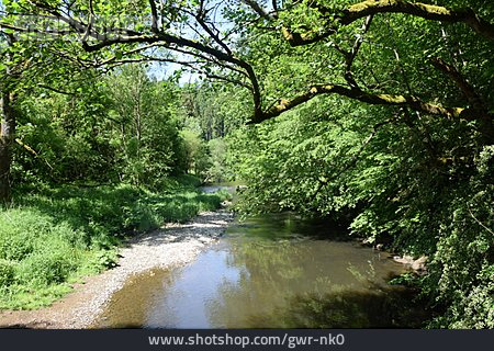 
                Fluss, Westerwald, Nister                   