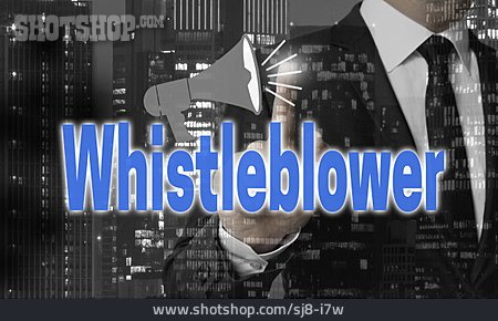 
                Whistleblower, Hinweisgeber, Enthüller                   