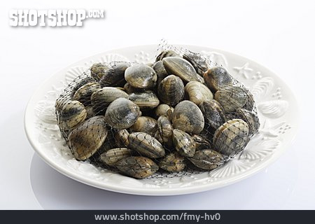 
                Muscheln, Meeresfrüchte                   