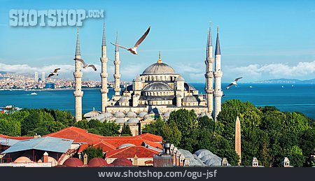 
                Sultan Ahmed Mosque                   