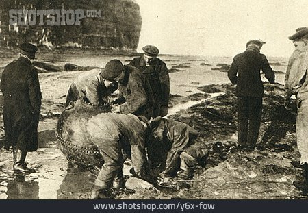 
                Erster Weltkrieg, Britische Seemine                   