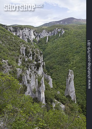
                Vela Draga, Naturpark Učka                   