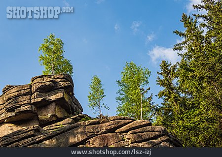 
                Harz, Feuersteinklippe                   