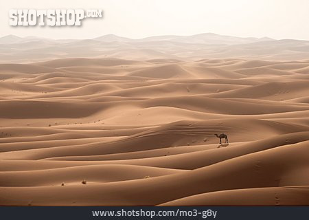 
                Sandwüste, Erg Chegaga                   