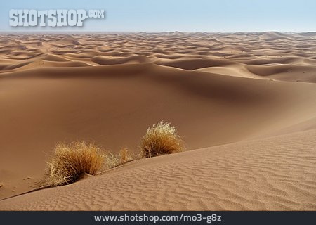 
                Wüste, Erg Chegaga                   