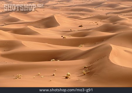 
                Wüste, Erg Chegaga                   