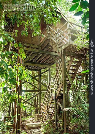 
                Stelzenhaus, Permai Rainforest Resort                   