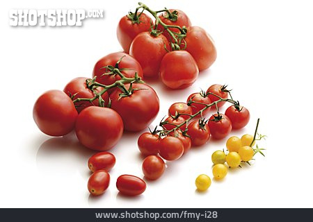 
                Tomaten, Strauchtomate, Datteltomate, Romatomate                   