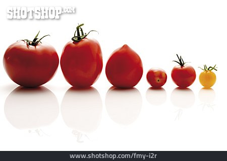 
                Tomaten, Größe, Tomatensorte                   