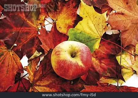 
                Apfel, Herbstlaub                   