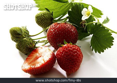 
                Reif, Erdbeeren, Unreif                   