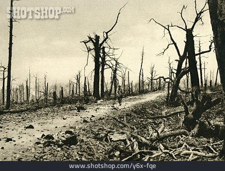 
                Wald, Soldat, Erster Weltkrieg                   
