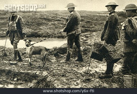 
                Britische Soldaten, Meldehund, Langemark                   