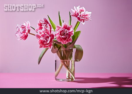 
                Blumenstrauß, Blumenvase, Blumendekoration                   