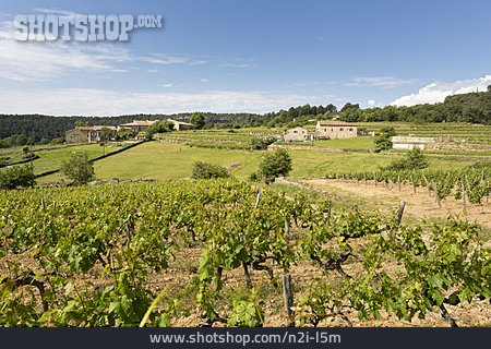 
                Weinanbaugebiet, Sanilhac                   
