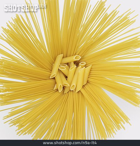 
                Spaghetti, Pasta, Penne                   