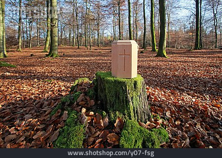 
                Waldbestattung, Waldfriedhof, Holzurne                   