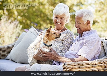 
                Jack Russell Terrier, Seniorenpaar                   