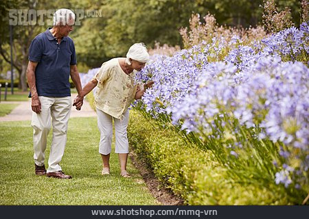 
                Spaziergang, Riechen, Blumenbeet, Seniorenpaar                   