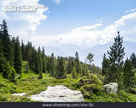 
                Berner Oberland, Beatenberg, Emmentaler Alpen                   
