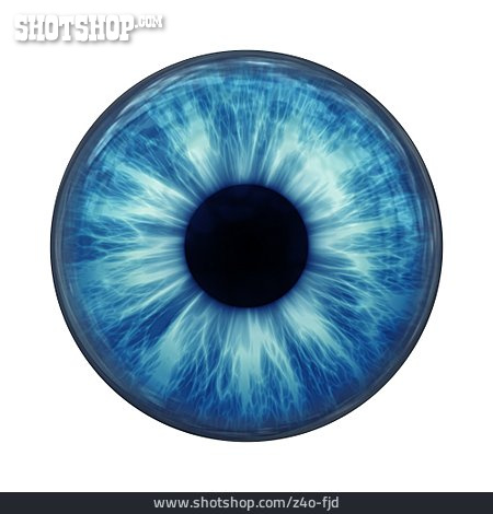 
                Auge, Blaues Auge, Iris, Pupille                   