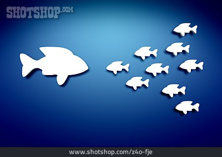 
                School Of Fish, Fish                   