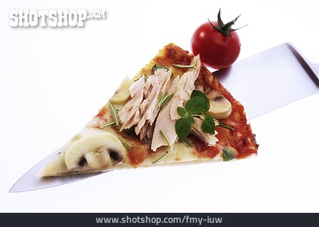 
                Thunfisch, Pizzastück                   