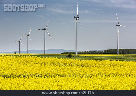 
                Rapsfeld, Alternative Energien, Windräder                   