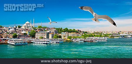
                Bosporus, Istanbul, Süleymaniye-moschee                   